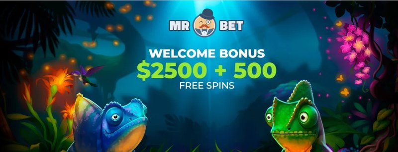 Learn about mr jones casino login Learn about mr jones casino login