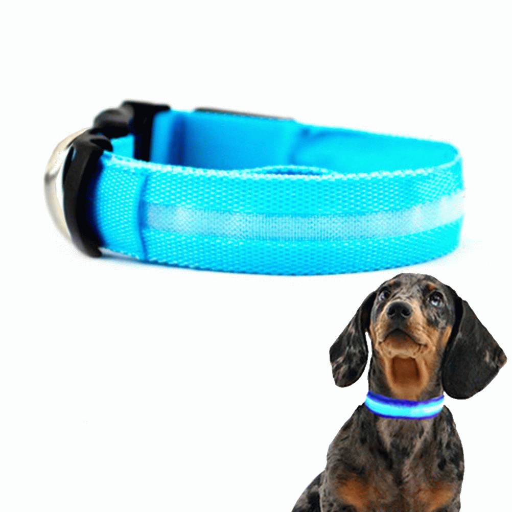 Collar mascotas LED BIWOND talla l blau BW0121