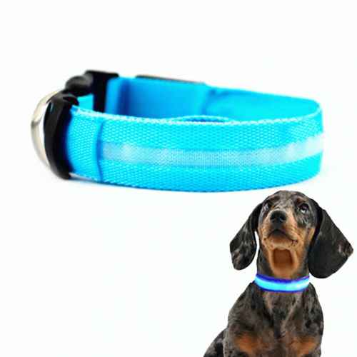 Collar mascotas LED BIWOND talla l azul BW0121